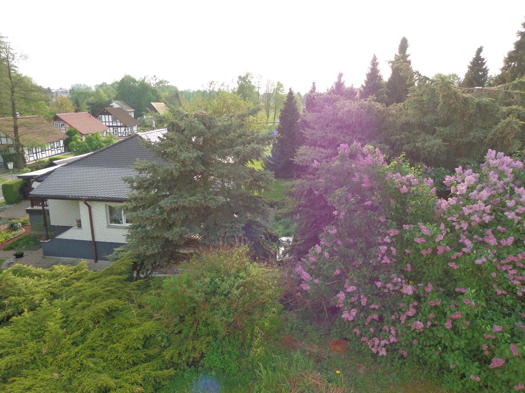 Pension Sonnenhuegel Markersdorf Esterno foto